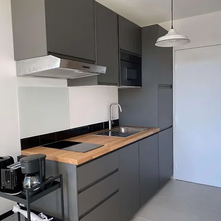 Renove Pres Des Thermes Avec Balcon Et Climatisation - Fr-1-553-252 شقة